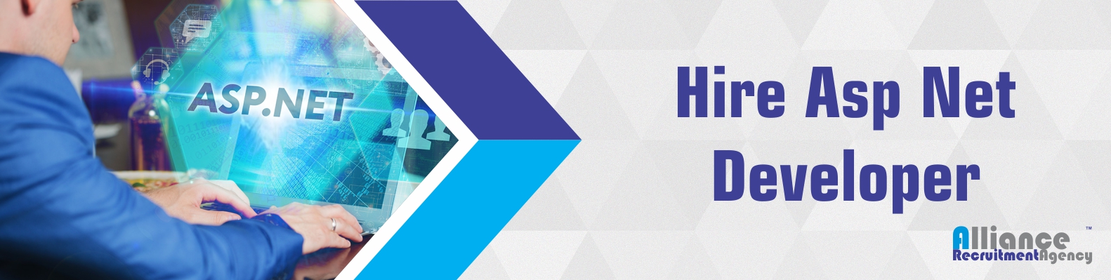 hire dedicated asp net developer dot net programmer at 12 hr dot net developer