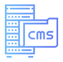 CMS Development