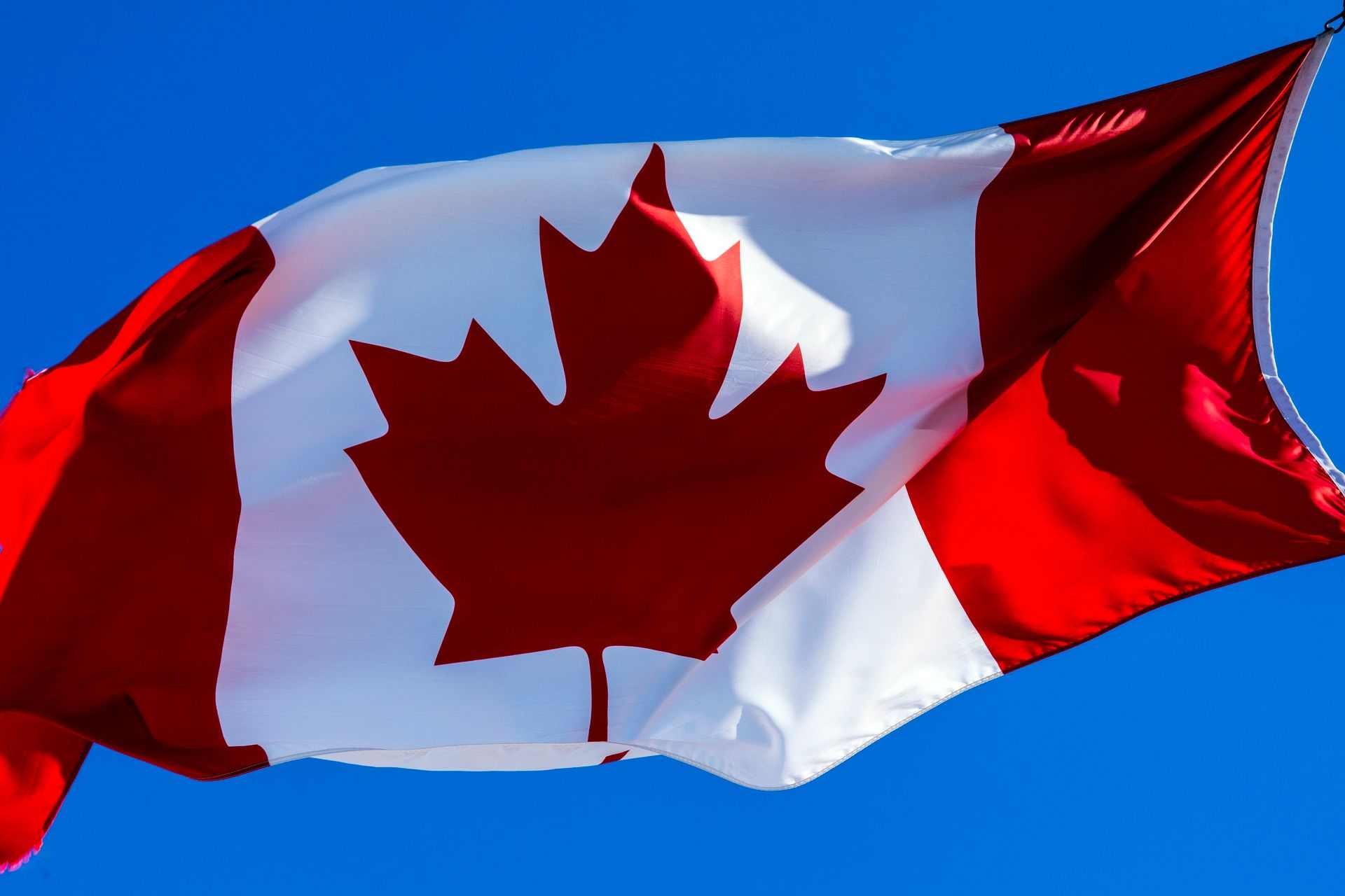 Staffing Agency in Canada